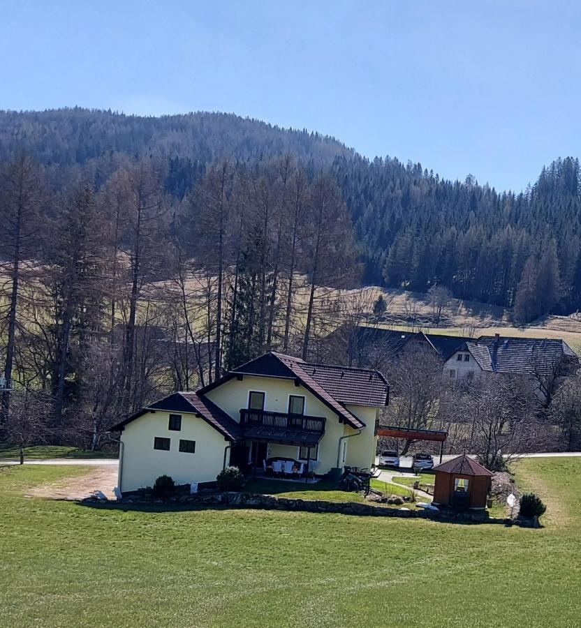 Apartament Greimblick Sankt Peter am Kammersberg Zewnętrze zdjęcie