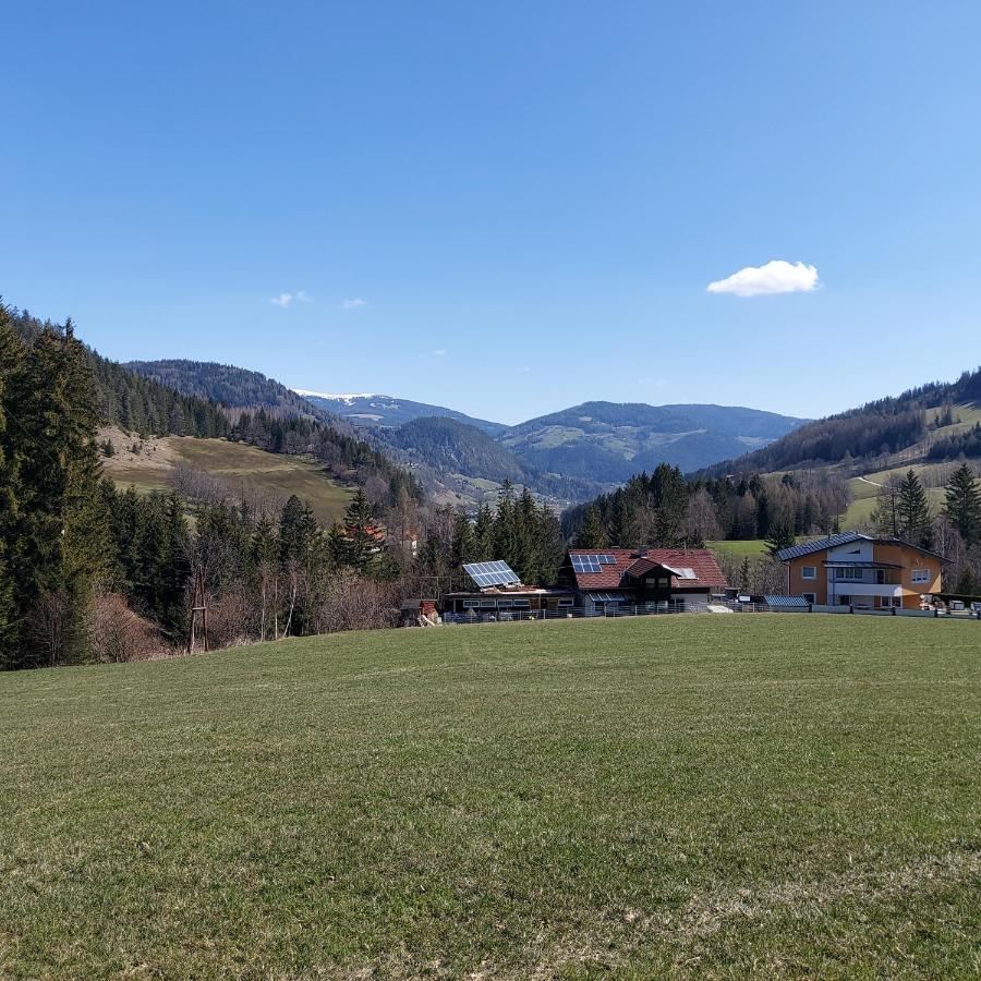 Apartament Greimblick Sankt Peter am Kammersberg Zewnętrze zdjęcie