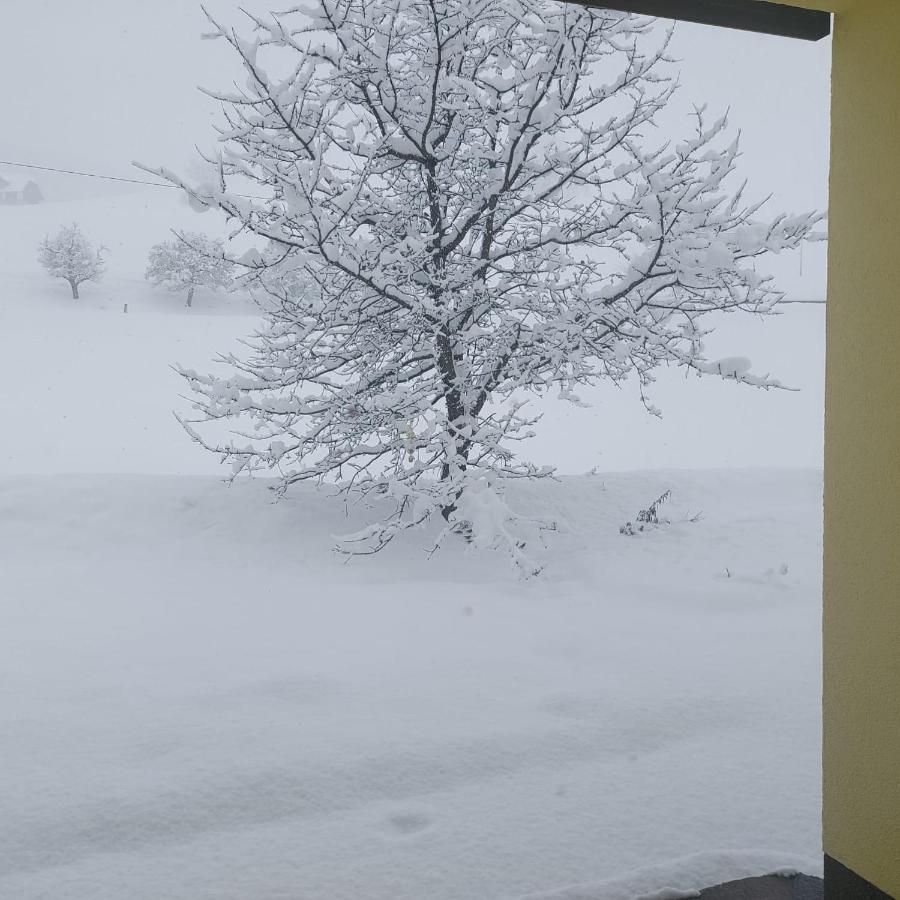 Apartament Greimblick Sankt Peter am Kammersberg Zewnętrze zdjęcie